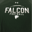 Freeland Falcons
